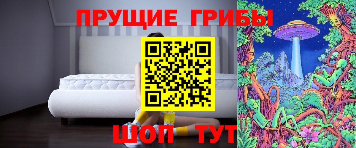 Галлюциногенные грибы Psilocybe Крымск